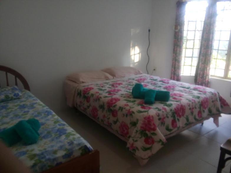 Sitio Girassol Hostel คาคอนเจ ภายนอก รูปภาพ